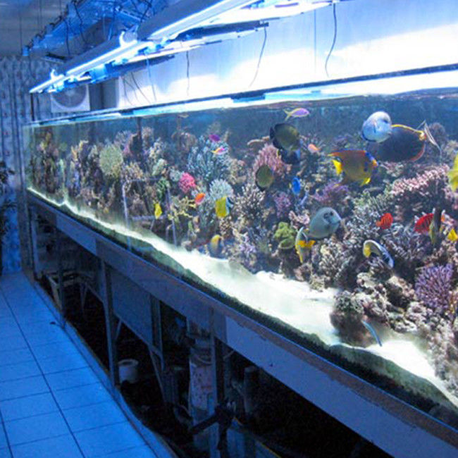Custom Thick Cast Acrylic Sheet Panel for Large Aquarium Swimming Pool Oceanarium Tunnel Underwater Viewing Windows