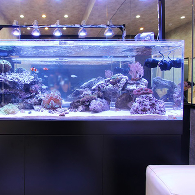 92% de transmission en plastique clair Acrylique pour aquarium 1220*2440 mm